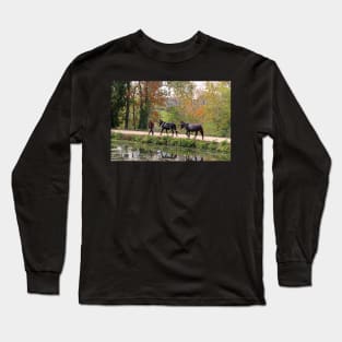 C and O Canal Mules Long Sleeve T-Shirt